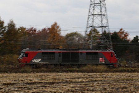 REDBEAR-貨物列車