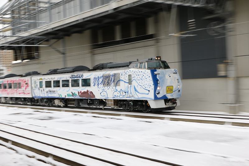 昼の札幌駅-スーパー宗谷2号の代走旭山動物園号を